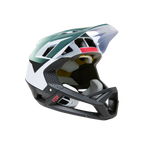 Fox Proframe Graphic Full Face Helmet