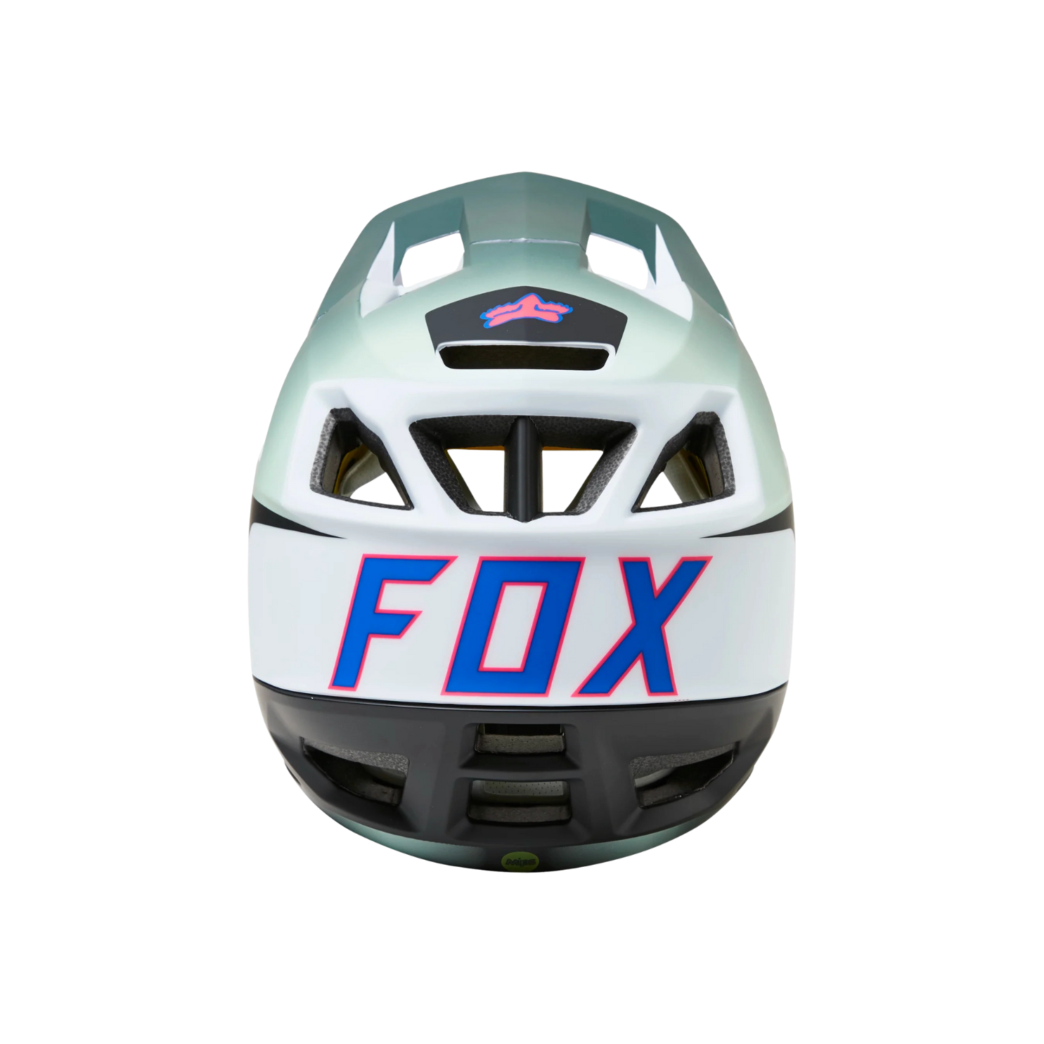 Fox Proframe Graphic Full Face Helmet