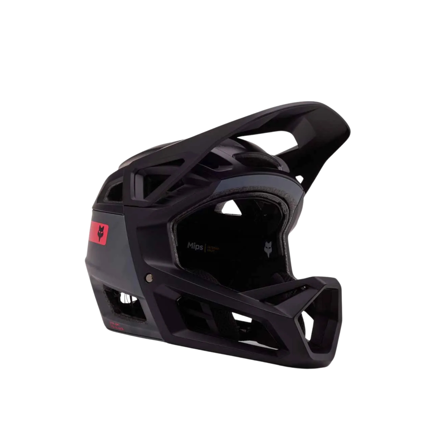 Fox Proframe Rs Taunt As - Black