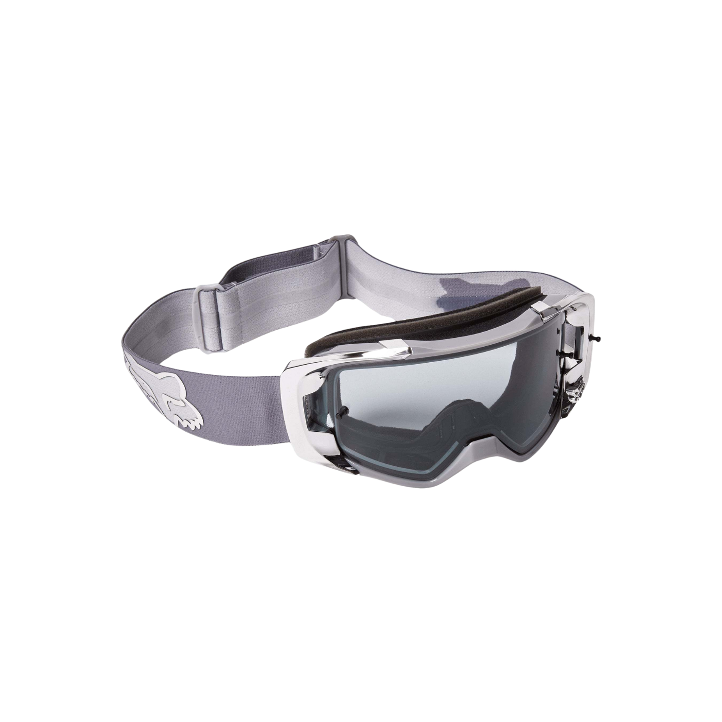 Fox Vue Stray Goggles