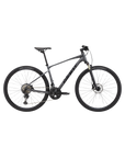 Giant Roam 0 Disc - Charcoal