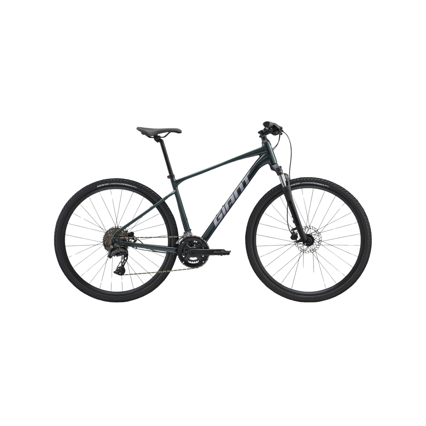 Giant Roam 2 - Asphalt Green – CCACHE Giant Roam 2 - Asphalt Green – CCACHE