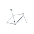 Giant TCR Advanced SL Frameset - Opal