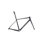Giant TCR Advanced SL Frameset - Raw Carbon