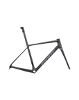 Giant TCR Advanced SL Frameset - Raw Carbon