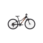 Giant Talon 24 - Panther