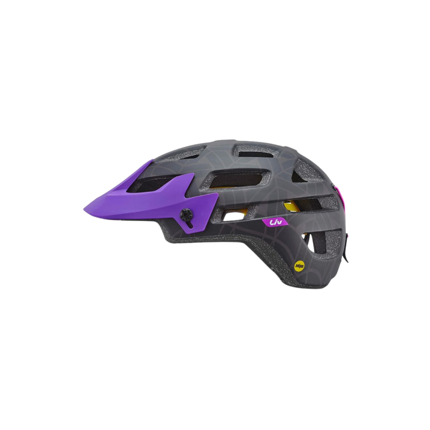 适用于 All Mountain Infinita 的 Giant Visor - 哑光黑/紫