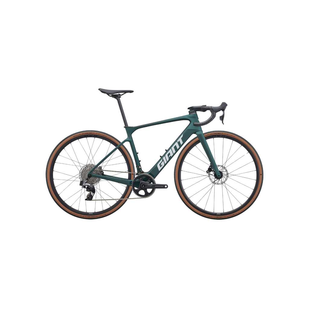 Giant Defy Advanced E+ Elite AR 电动自行车 - 海带森林