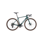 Giant Defy Advanced E+ Elite AR 电动自行车 - 海带森林