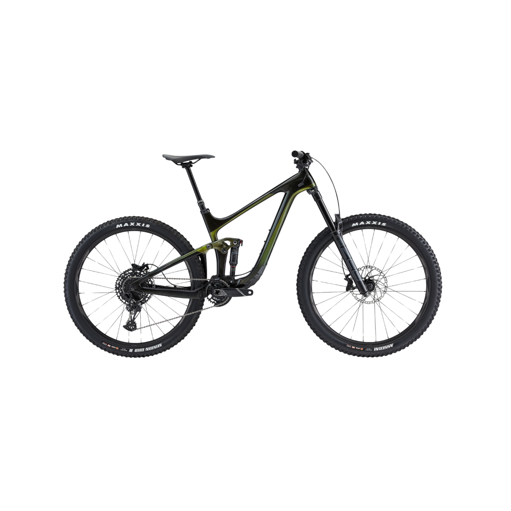 Giant Reign Advanced Pro 29 2 - 黑豹