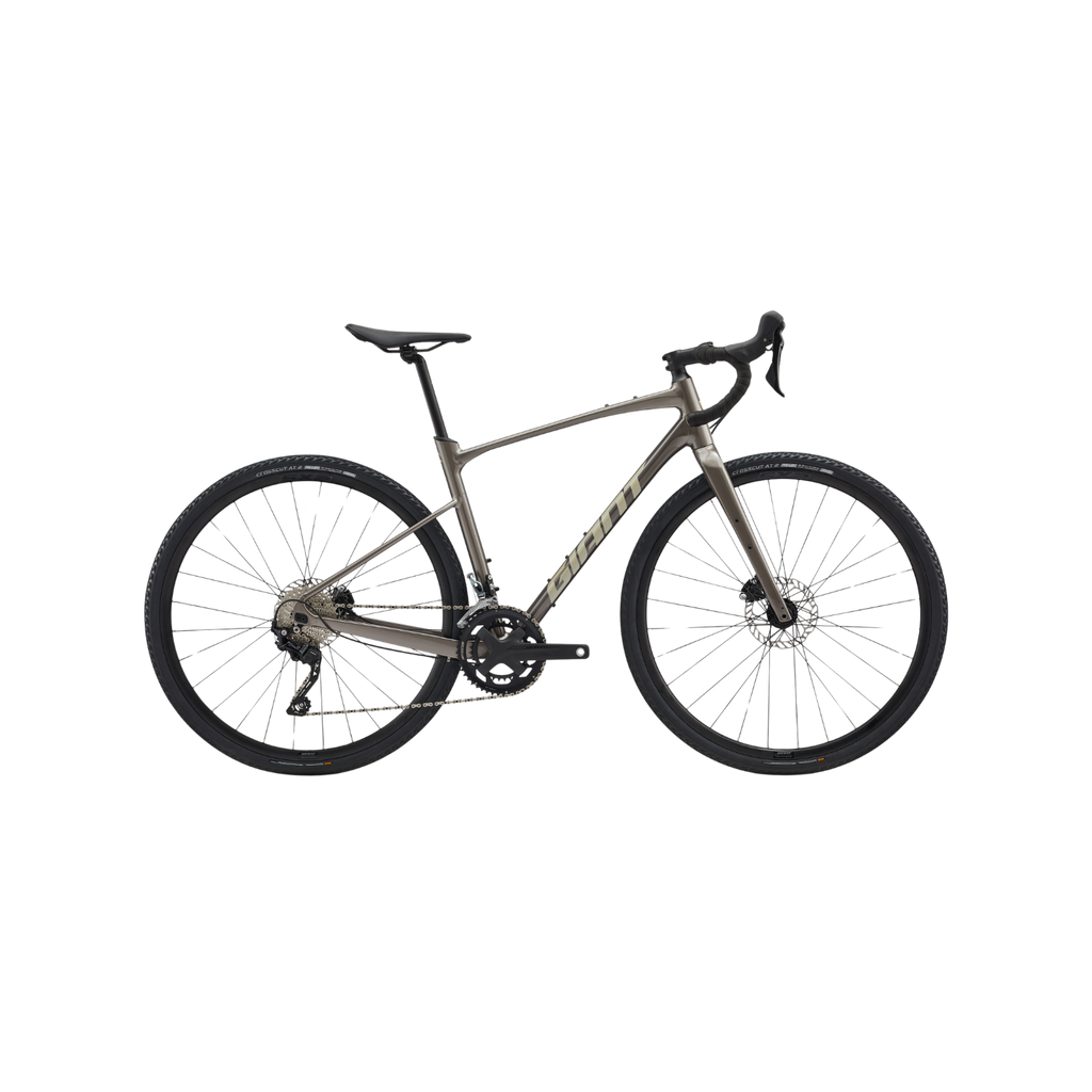 Giant Revolt 1 Gravel Bike - Metal