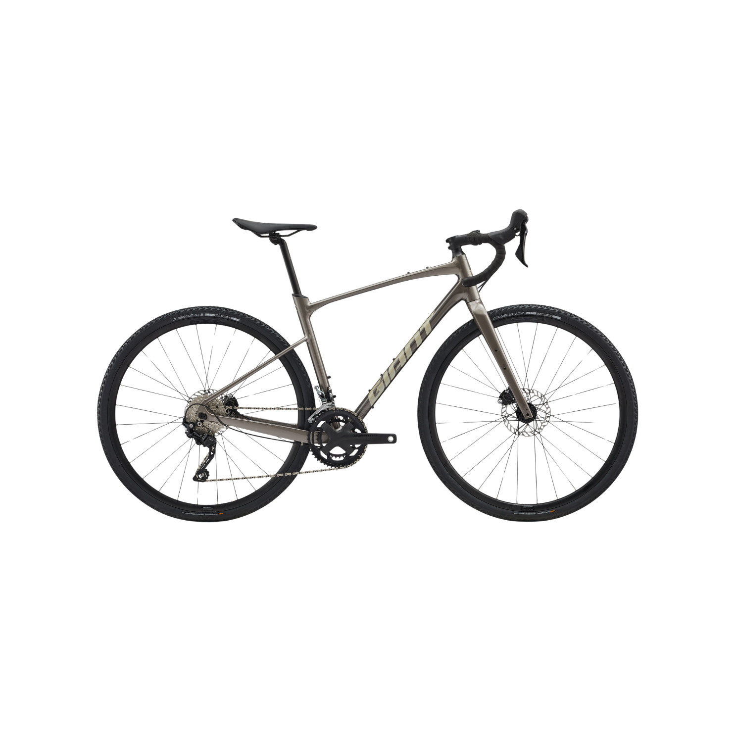 Giant Revolt 1 Gravel Bike - Metal