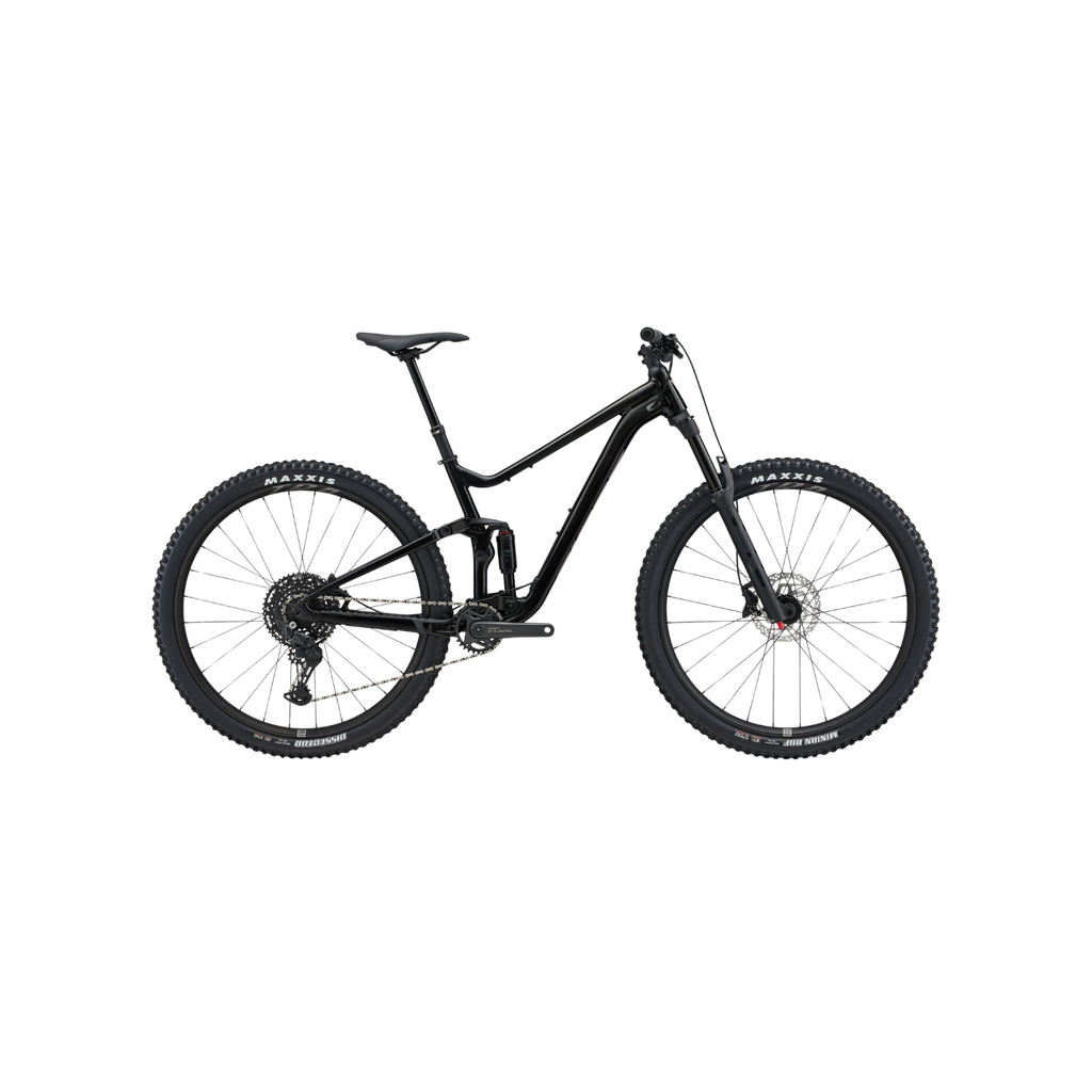 Giant Stance 29 山地车 - 豹纹