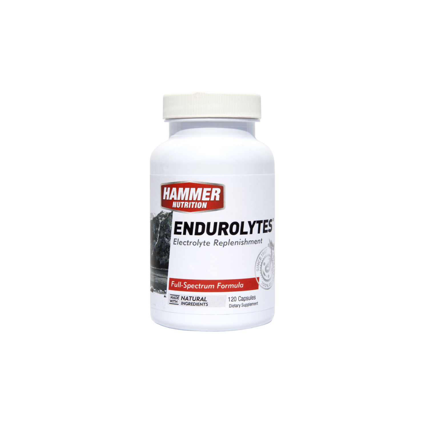 Hammer Nutrition Endurolytes 120 Capsules