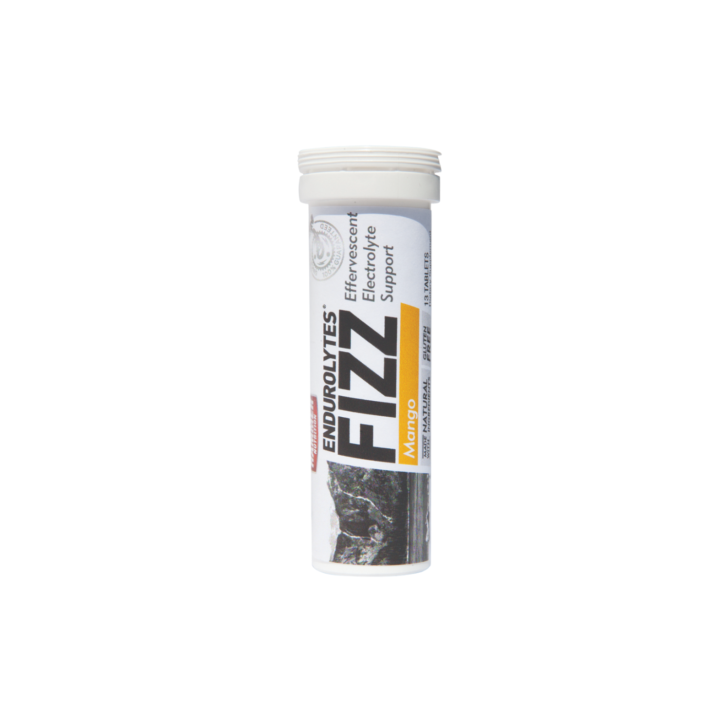 Hammer Nutrition Endurolytes Tablets - Fizz Mango