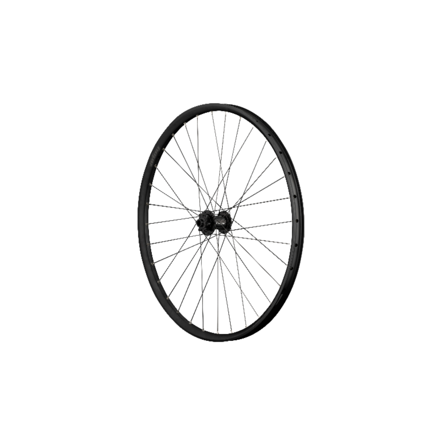 Hope Fortus 30 Pro 5  29" Wheels