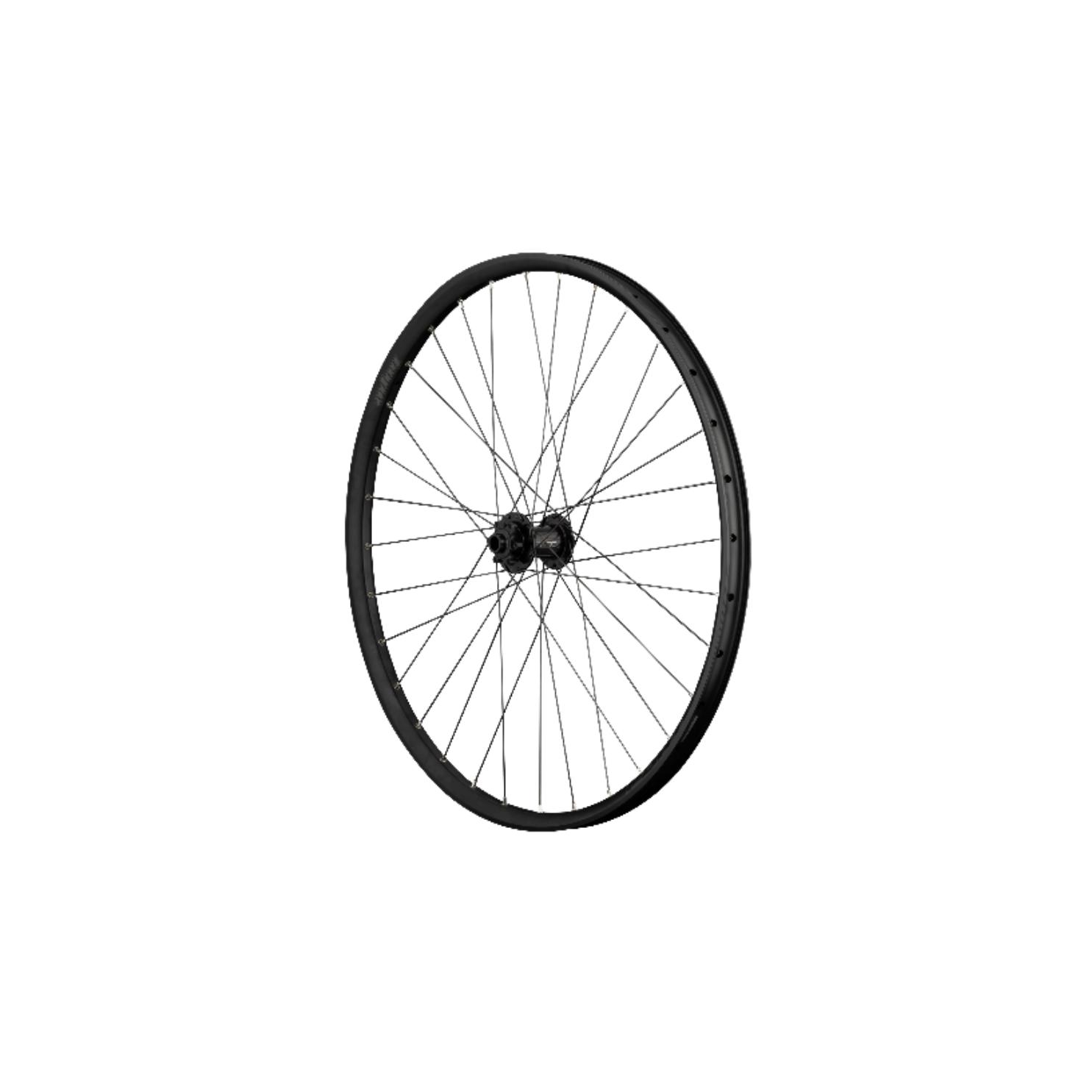 Hope Fortus 35 Pro 5  29" Wheels