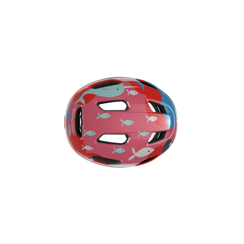 Lazer Pnut Kc 海洋生物 均码