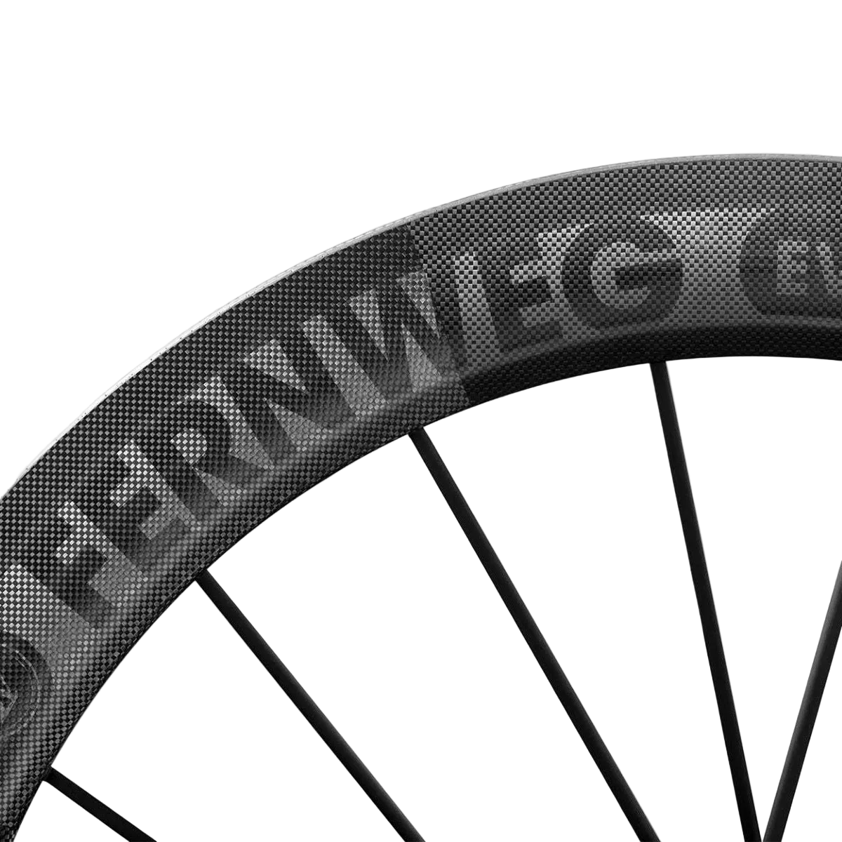 Lightweight FERNWEG 63 EVO Pro SCHWARZ Disc Brake Wheelset