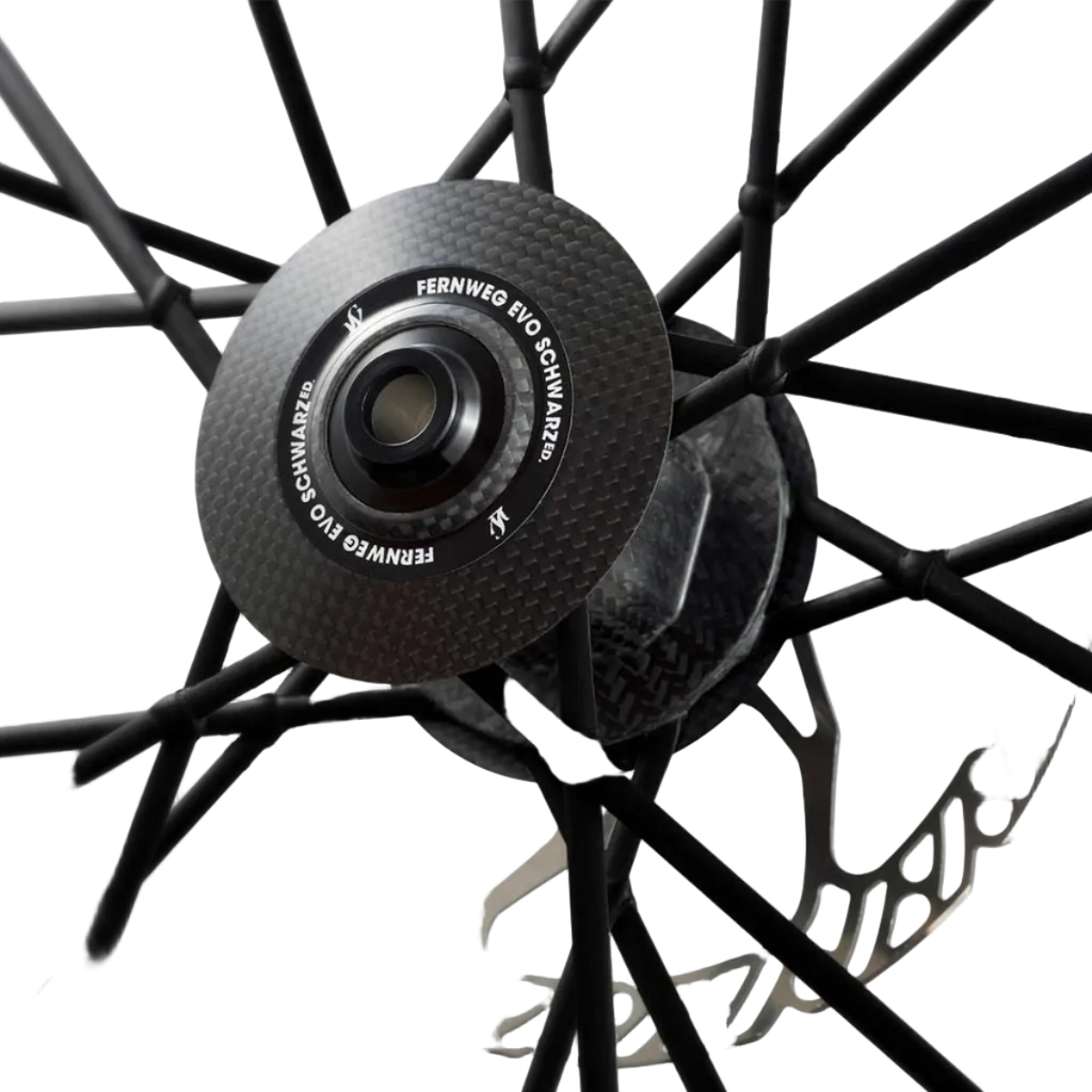 Lightweight FERNWEG 63 EVO Pro SCHWARZ Disc Brake Wheelset