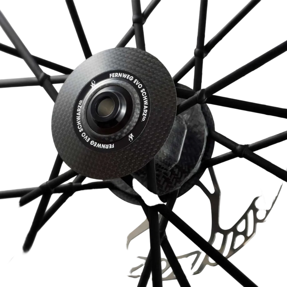 Lightweight FERNWEG 63 EVO Pro SCHWARZ Disc Brake Wheelset