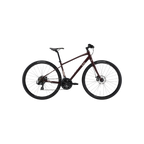 Liv Alight 3 DD Disc 城市自行车 - Figuier