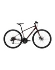 Liv Alight 3 DD Disc Urban Bike - Figuier