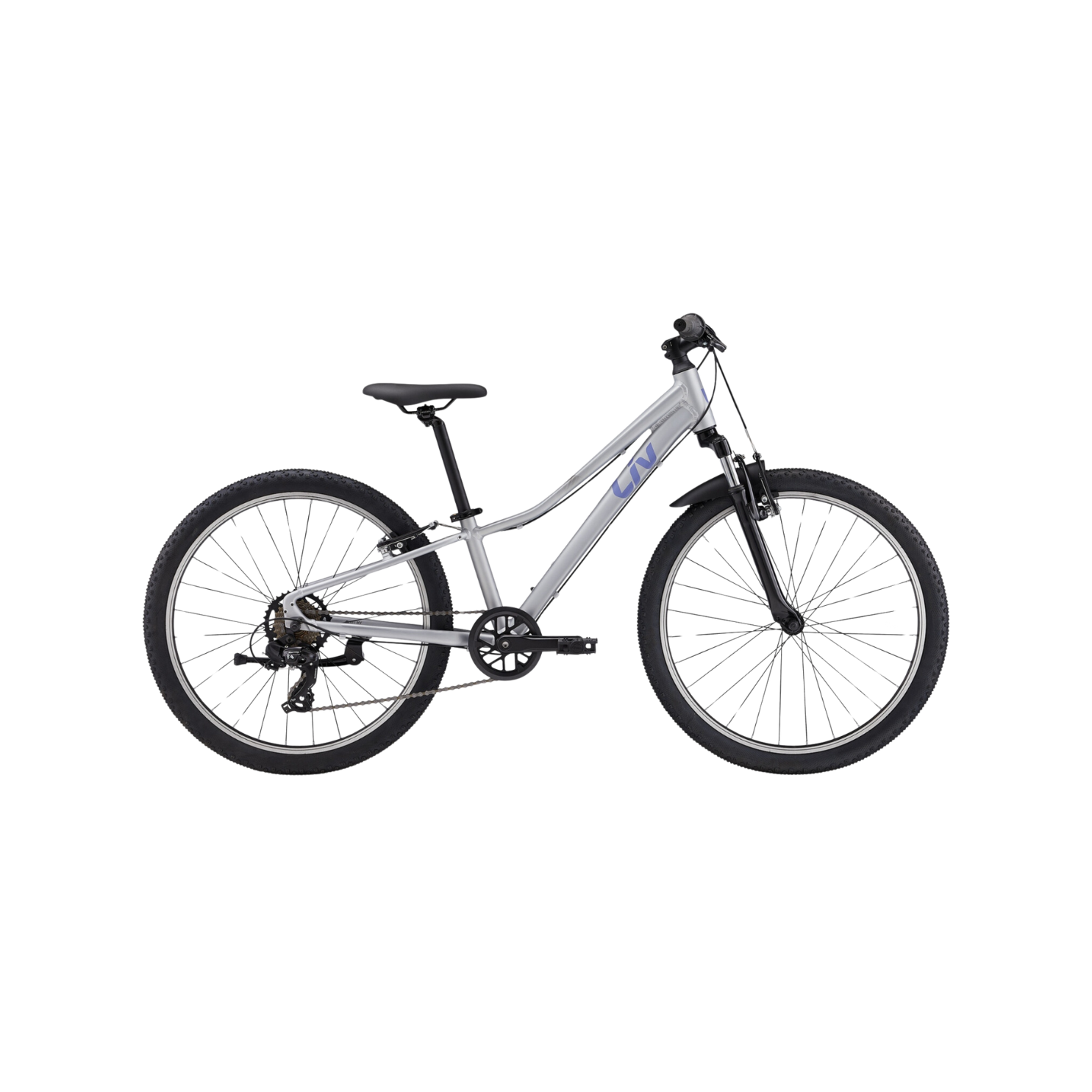 Liv Tempt 24 Mountain Bike - Silver