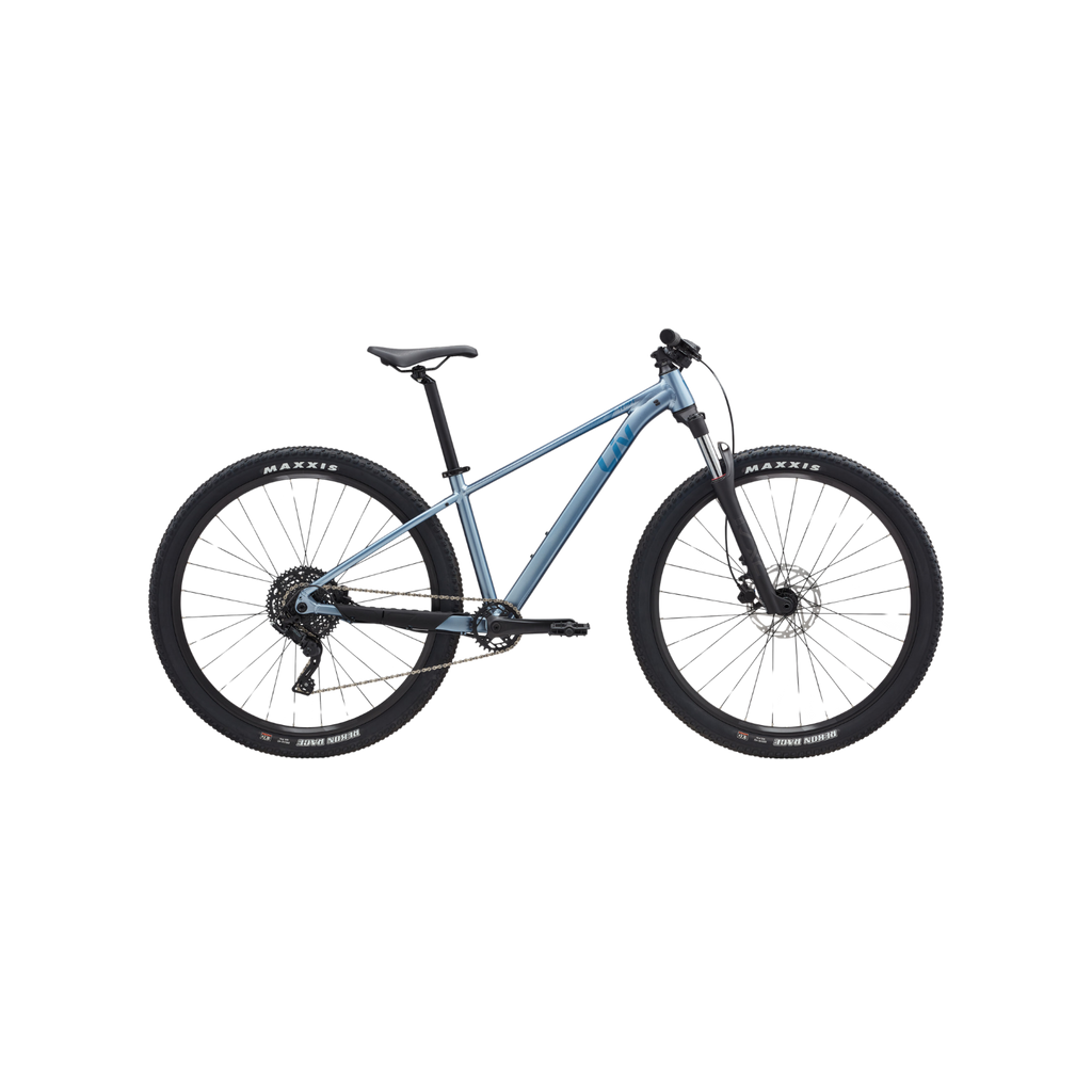 Liv Tempt 29 2 MTB - Frost Silver