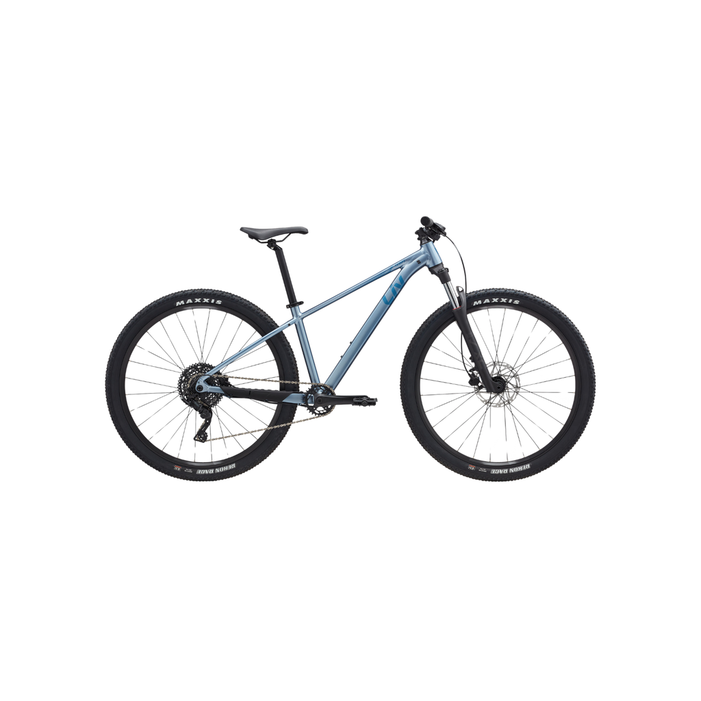 Liv Tempt 2 MTB - 霜银
