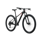 Liv Tempt 29 4 - Black