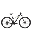 Liv Tempt 4 Mountain Bike - Black Chrome