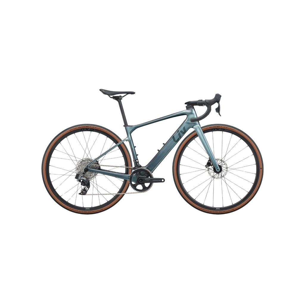 Liv Avail Advanced E+ Elite AR 电动自行车 - 银松