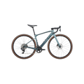 Liv Avail Advanced E+ Elite AR - Silver Pine