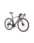 Liv Langma Advanced 1 PC 公路自行车 - Mechanic Rose