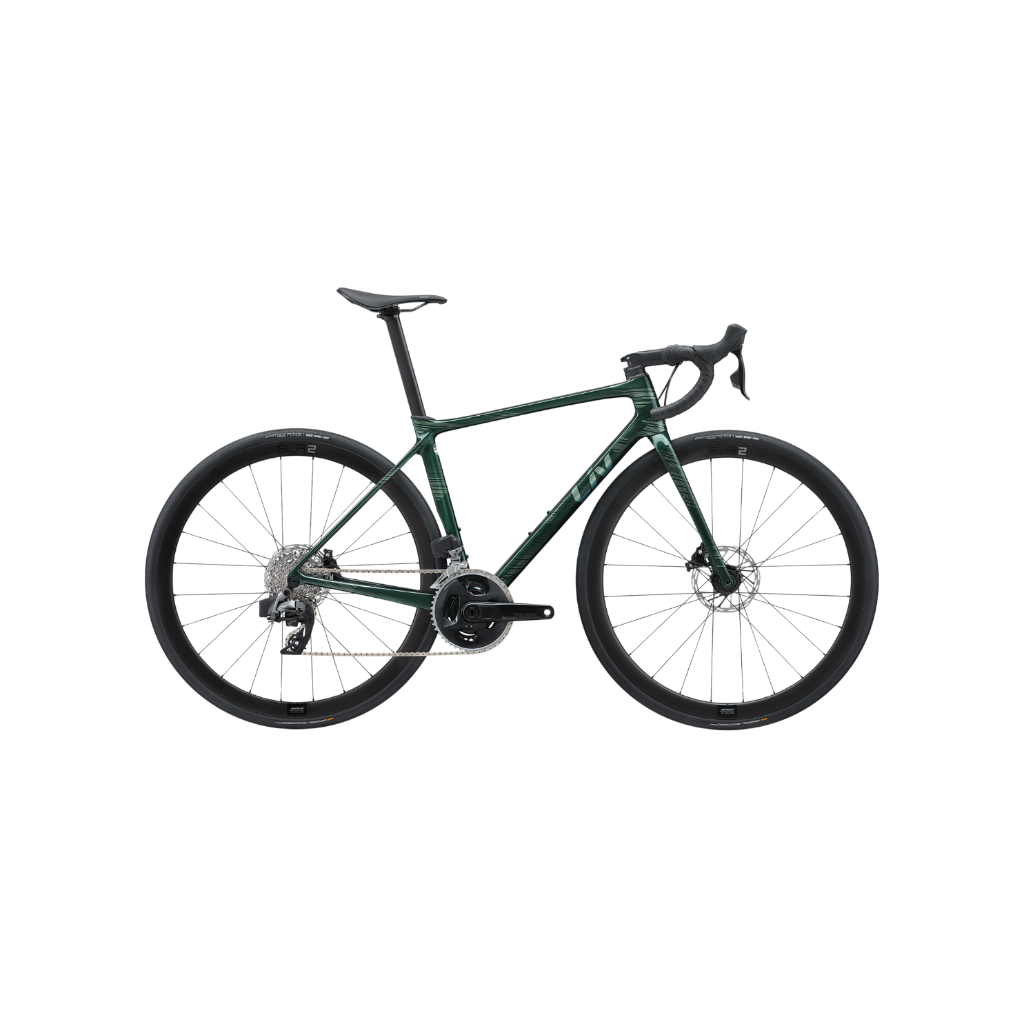 Liv Langma Advanced Pro 1 Disc AR 公路自行车 - 海带森林