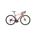 Liv Avail AR 2 公路自行车 - 太阳耀斑
