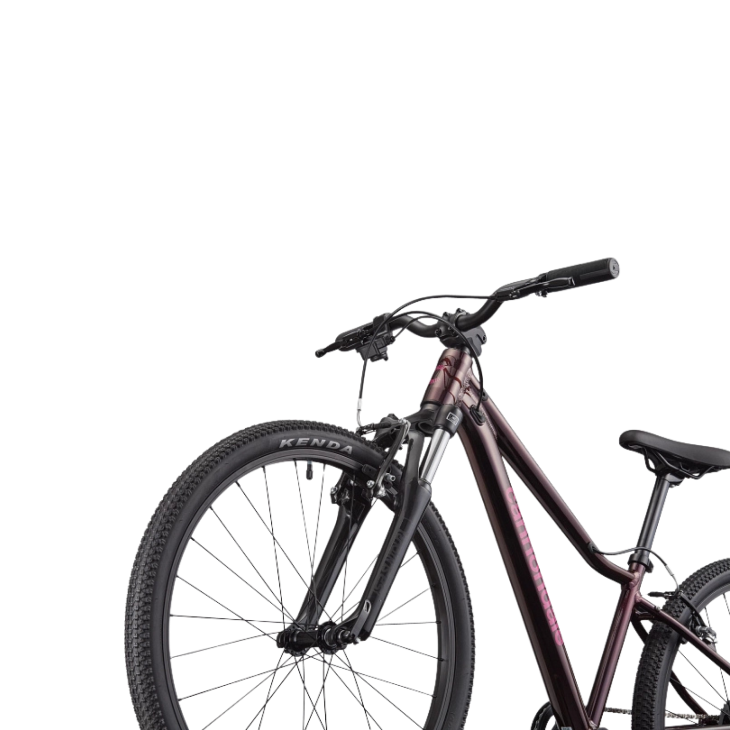 Cannondale Kids Trail 24 - Royal Purple