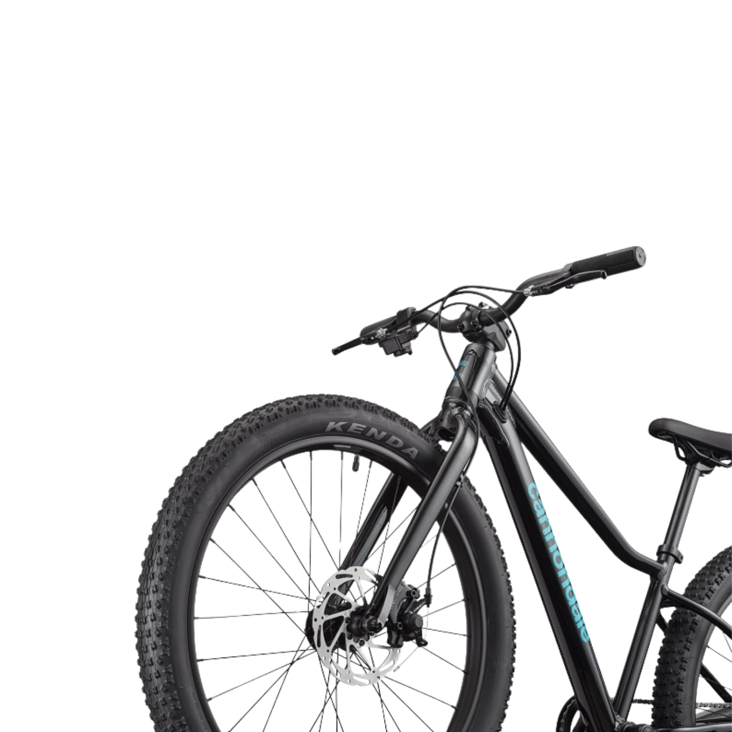 Cannondale Kids Trail Plus 24 - Black Pearl