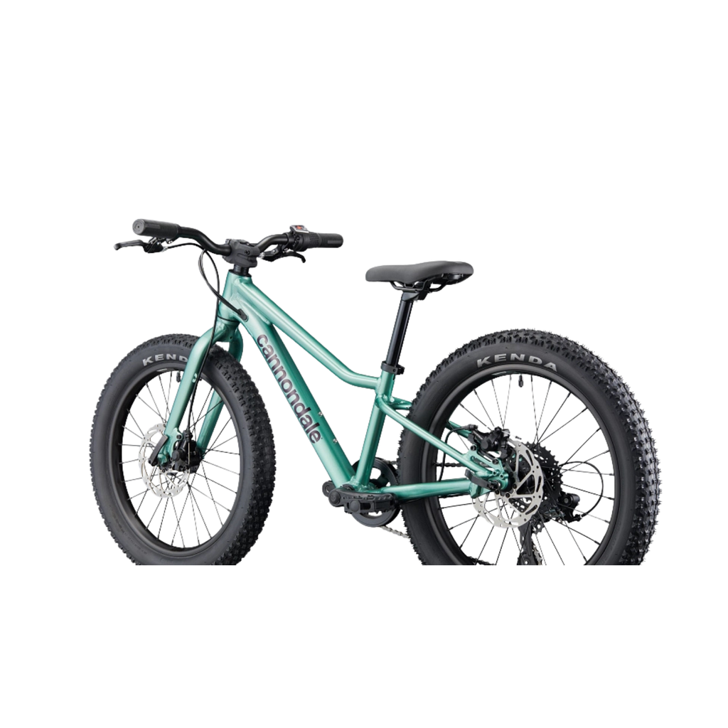 Cannondale Kids Trail Plus 20 - Cactus Green