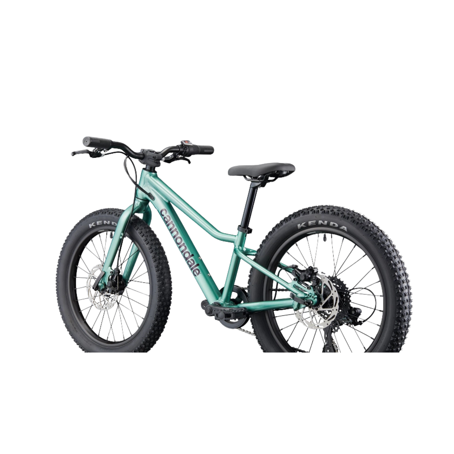 Cannondale Kids Trail Plus 20 - Cactus Green