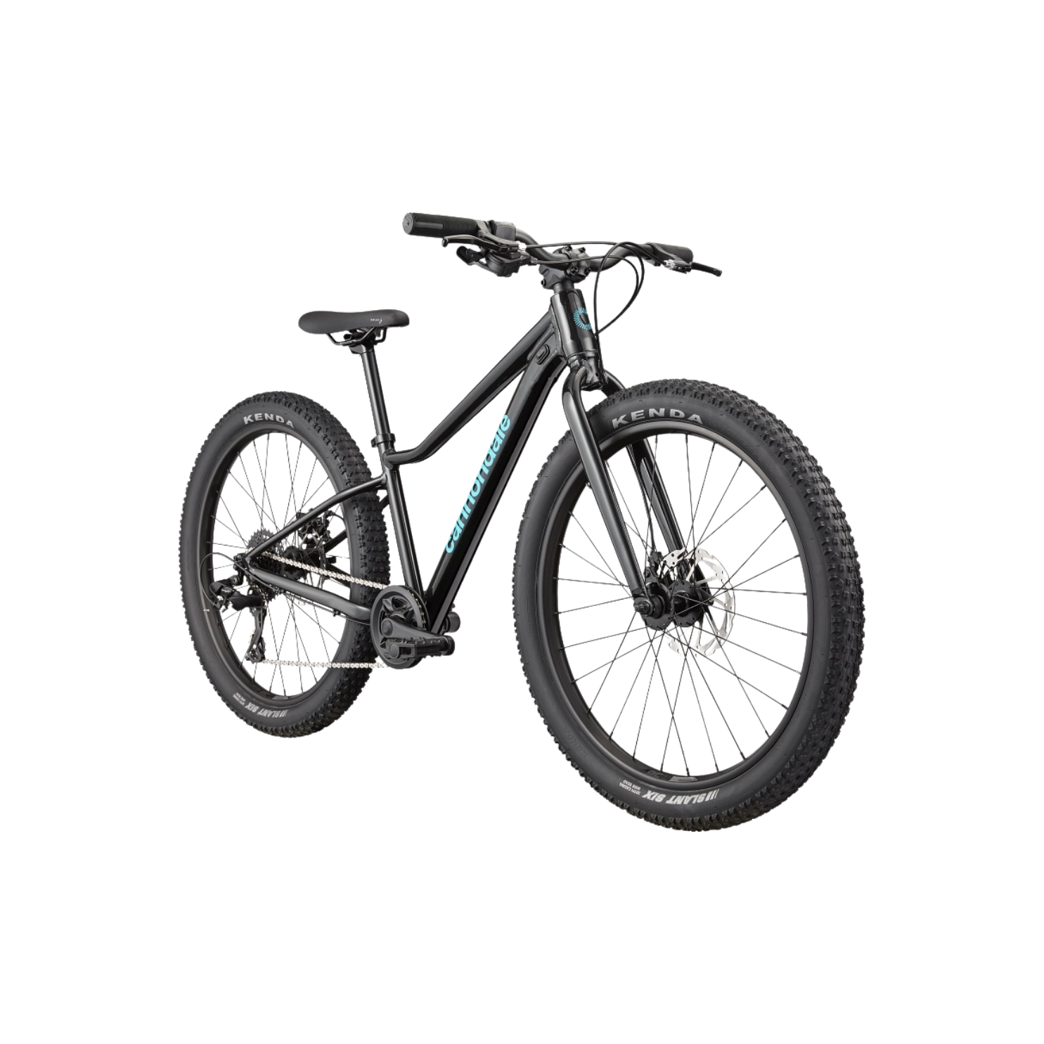 Cannondale Kids Trail Plus 24 - Black Pearl