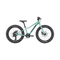 Cannondale Kids Trail Plus 20 - Cactus Green