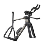 Giant Trinity Advanced SL TT 车架组 - 碳纤维/镀铬
