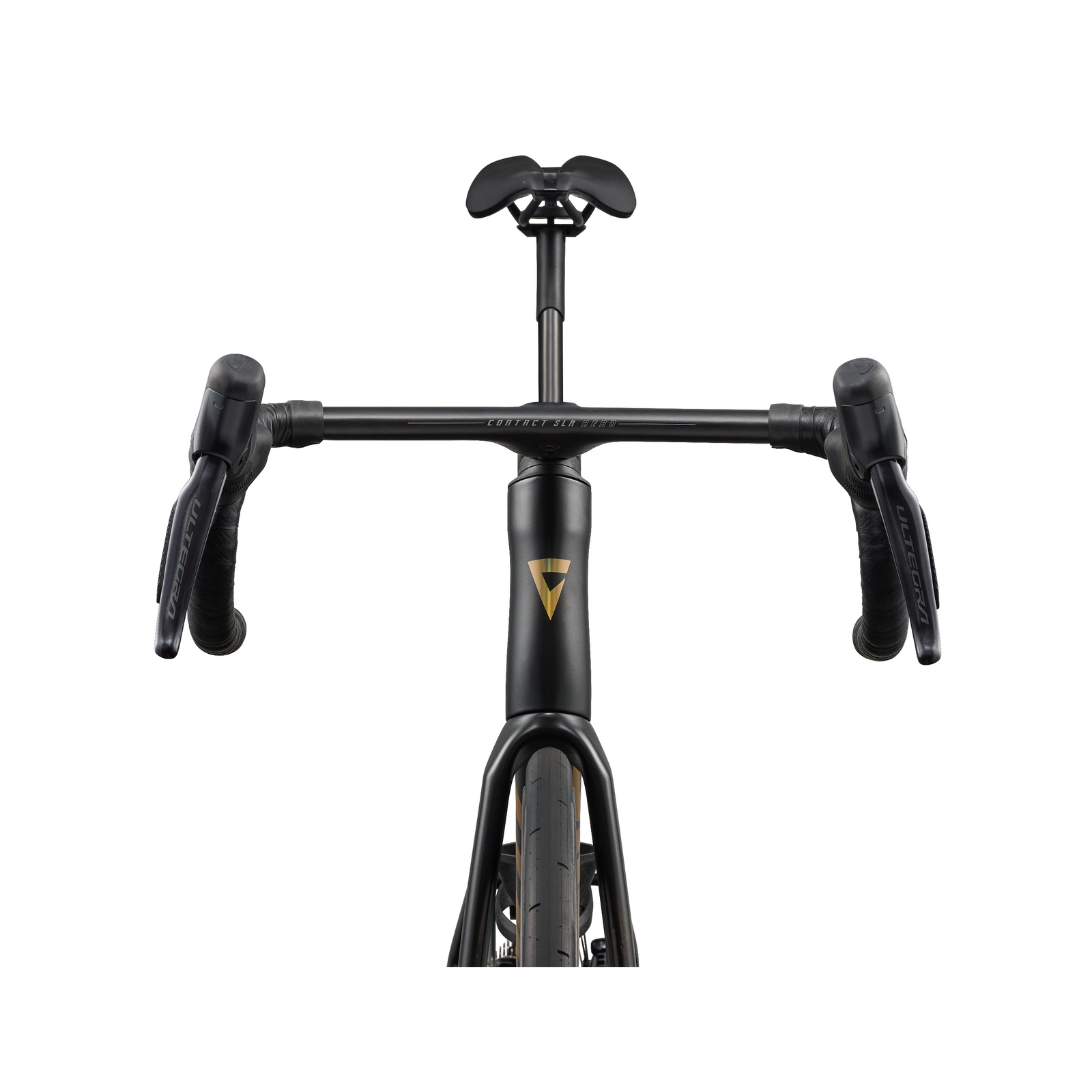Giant Propel Advanced SL 1 - Raw Carbon