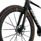 Giant Revolt Advanced SL 0 - RawCarbon/PrismPearl