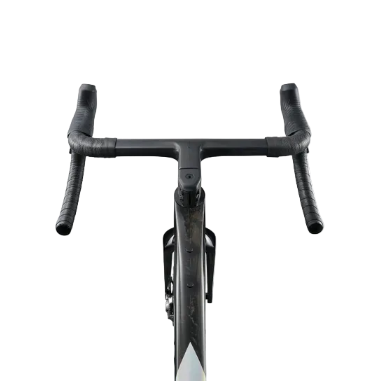 Giant Revolt Advanced SL 0 - RawCarbon/PrismPearl