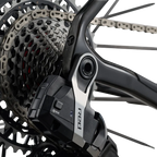 Giant Revolt Advanced SL 0 - Raw Carbon / Prism Pearl