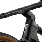 Giant Revolt Advanced SL 0 - RawCarbon/PrismPearl