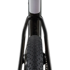 Giant Revolt Advanced SL 0 - Raw Carbon / Prism Pearl